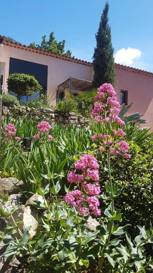 Bastide Cigaline Villa Le Beausset Luaran gambar