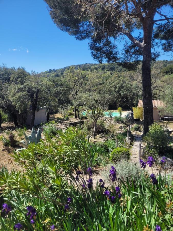 Bastide Cigaline Villa Le Beausset Luaran gambar