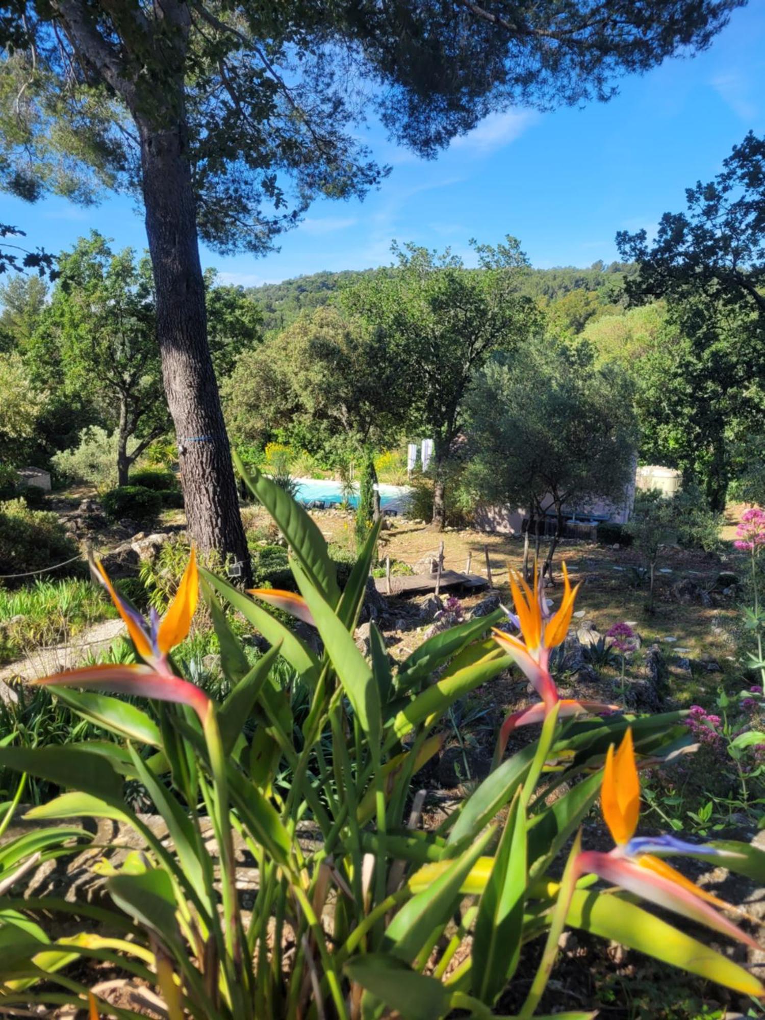 Bastide Cigaline Villa Le Beausset Luaran gambar