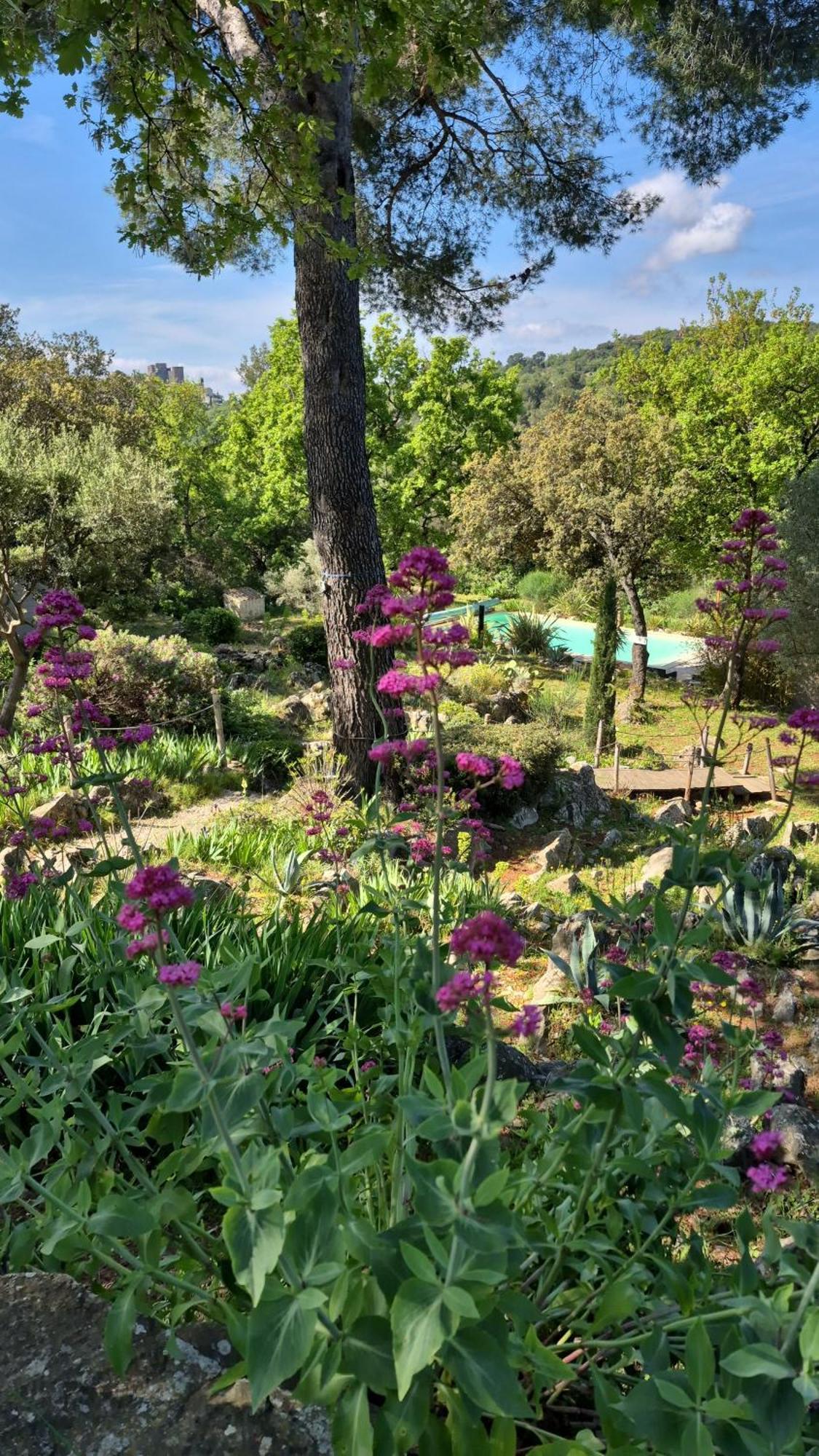 Bastide Cigaline Villa Le Beausset Luaran gambar
